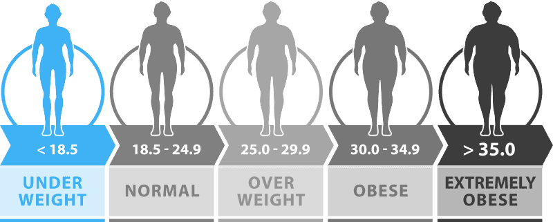 BMI weight loss under weight BMI less than 18.5