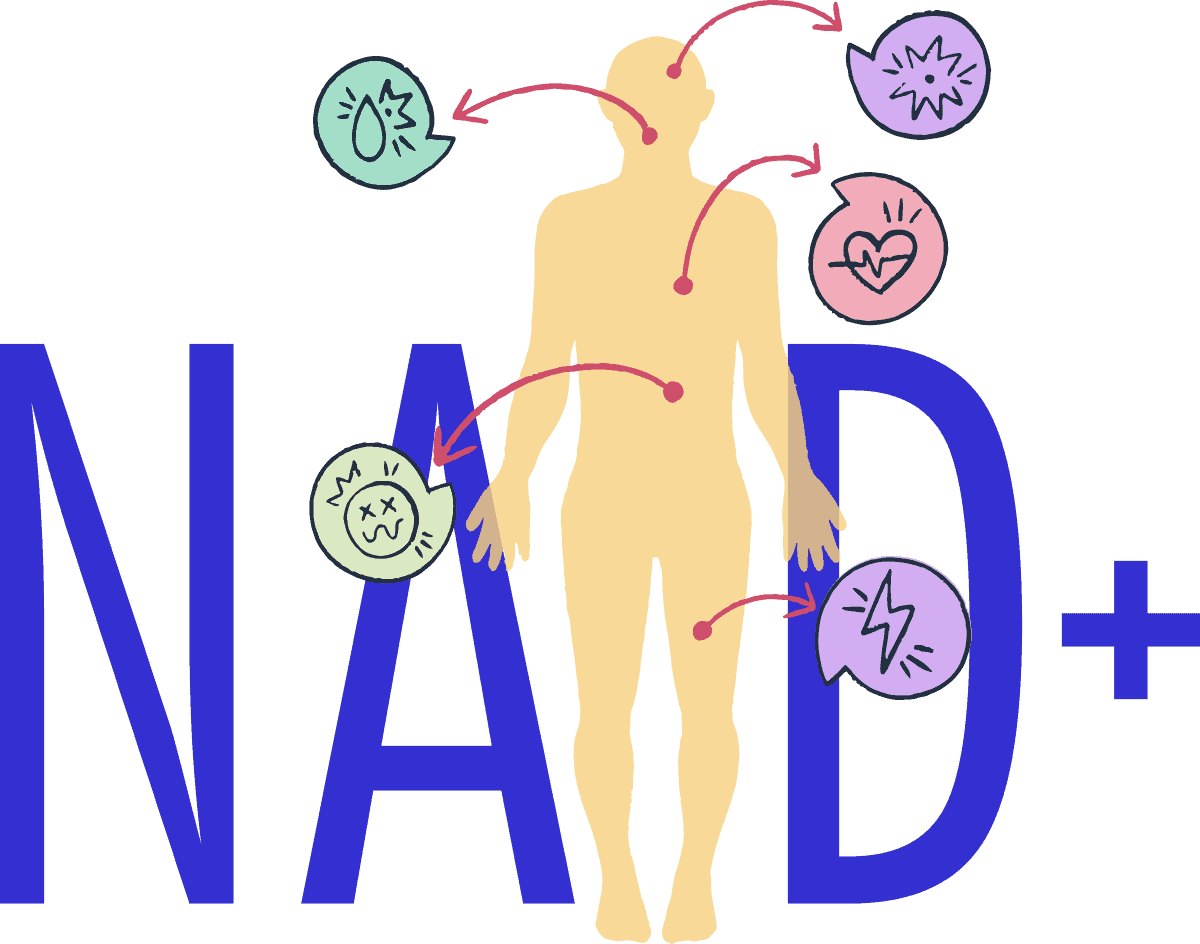 NAD Injections benefits illustrated on body