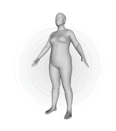 3d Body Scan Fat Muscle composition